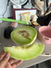玉菇甜瓜冰淇淋现摘正宗新鲜水果整箱当季水果香瓜冰淇淋 【精品装】 3斤(净重2.7斤) 实拍图