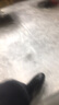 南界PVC自粘地板贴家用地板防滑耐磨地板革办公室客厅卧室地胶地板胶 1061【600*600*1.2mm】 片 实拍图