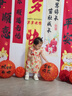 优奇女童连衣裙夏季婴儿衣服公主裙小女孩抓周岁女宝宝礼服夏季中国风 实拍图