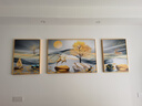 Sixpoetry 客厅装饰画现代简约沙发背景墙壁画轻奢三联晶瓷画大气高档挂画 福禄连年（铝合金外框） 晶瓷画左右50*70+中间100*70亮面 实拍图