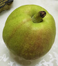 京鲜生 新疆库尔勒香梨 净重10斤 一级 单果100-120g 生鲜水果 实拍图