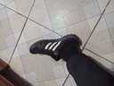 阿迪达斯adidas男鞋女鞋TERREX运动休闲鞋户外鞋HP8636 41码 实拍图