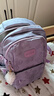 双星书包初中女双肩包高中大学生背包大容量运动出行笔记本电脑包 紫色【带大长腿白色精灵挂件】 实拍图