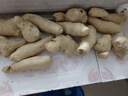 山东新鲜大姜超市生鲜蔬菜老姜即食水果生姜水洗净姜 山东大姜250g 实拍图