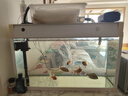 博宇（BOYU）鱼缸过滤器三合一增氧泵水族箱打氧过滤桶迷你循环潜水泵充氧一体 PGB-1000(长60到1米缸) 实拍图