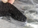 金纵（JINZONG）遮阳网防晒网加厚包边太阳隔热楼顶阳台遮阴网汽车防晒户外家用 实拍图