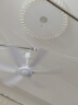 美的（Midea） 小吊扇小型电风扇蚊帐扇家用学生宿舍风扇床上风扇轻音电风扇吊式小电扇 风扇踏青放价 FC45-EB 机械旗舰款 实拍图