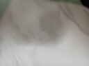 罗蒙（ROMON）纯色商务职业正装男士白衬衫工装男装短袖衬衣男CS72白色2XL 实拍图