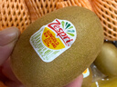 佳沛（zespri）新西兰  阳光金奇异果16粒礼盒经典果单果约 77-103g 水果 猕猴桃 实拍图