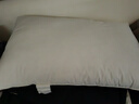 洁丽雅（Grace）A类纯棉高弹酒店枕头枕芯护颈枕颈椎枕家用枕芯成人睡觉专用高枕 实拍图