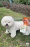 多美洁（Tropiclean）美国原装进口犬精油喷雾473ml宠物狗狗体外喷剂 实拍图