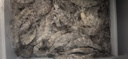 鲜京采 原装进口厄瓜多尔白虾 去冰净重3.3斤 大号50-60规格 82-99只/盒 实拍图