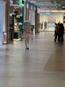 Classic Teddy童装儿童裤子男女童防蚊裤纯棉运动休闲裤薄款灯笼裤 果绿 140  实拍图