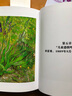 凡·高 (Taschen塔森原版引进 梵高画作完整收录  后印象主义大师油画册集) 实拍图