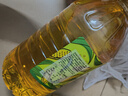 金龙鱼 食用油 非转基因 物理压榨不油腻轻年玉米油4L 实拍图