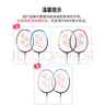 YONEX尤尼克斯羽毛球拍全碳素弓箭对拍套装ARC5I附手胶拍包尼龙球 实拍图