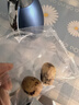 方家铺子去皮去核枣500g 17-18小袋新疆灰枣无核免洗脱皮红枣果干零食辅食 实拍图