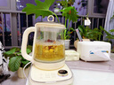 小熊（Bear）小气泡养生壶 烧水壶 1.5升家用恒温水壶煮茶器煮茶壶 降噪轻音 带玻璃炖盅 YSH-F15E1 玻璃花茶壶 实拍图