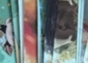 卡游哪吒之魔童闹海电影收藏卡炽影包整盒官方正版周边卡片儿童礼物 实拍图