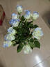 【玫瑰花】特价云南鲜花直发节日鲜花礼物花束水养插花七夕礼物 碎冰蓝玫瑰10枝【喷色】 实拍图