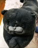 野兽派家居（tbh）懒蓝猫长条抱枕 枕头靠垫家用客厅沙发腰枕床头靠枕礼物 懒蓝猫条形抱枕22X115cm 0cm*0cm 含枕芯 实拍图