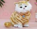 亦趣仿真猫玩偶会叫小猫咪毛绒玩具摆件可爱猫咪公仔儿童生日礼物 会叫橘花猫咪+毛绒垫子 实拍图