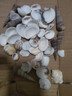 天然海螺贝壳鱼缸水族箱造景装饰工艺品收藏小礼物 天然贝壳海螺100g装【40个左右】 多种款式混装随机发货 实拍图