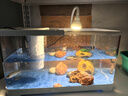 阔庭（KUOTING）缸水族箱生态桌面鱼缸新款懒人鱼缸生态造景过滤制氧一体机白色 实拍图