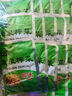 鱼泉榨菜 下饭菜 早餐小菜 鲜香榨菜15g*40袋 重庆特产 实拍图