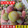 果领队正宗四川脱骨李新鲜孕妇水果【现摘现发】当季爆甜脆甜半边红包邮 3斤【精品青红脆李果净2.5斤】 实拍图
