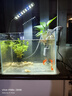 森森（SUNSUN）鱼缸过滤器壁挂式外置过滤泵水族箱过滤器HBL HBL-302 3W 实拍图