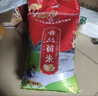 西湖农夫香 西湖虾稻香米 丝苗米 南方籼米 长粒香米 湖北大米10斤 实拍图