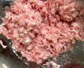 苏泊尔（SUPOR）绞肉机家用电动大容量多能料理机 绞馅机碎肉搅肉机切菜辅食搅拌机JR05-300 实拍图