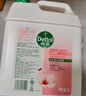滴露（Dettol）洗手液补充装大桶消毒滋润5L 儿童家庭装杀菌护手 实拍图