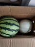 正宗南汇8424西瓜皮薄汁多现摘现发4.5斤-12斤 单果4斤-8斤 6斤-8斤带箱重量 实拍图