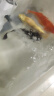 森森（SUNSUN）鱼缸过滤器净水循环三合一内置小型水族箱过滤系统XQP-1500F 23W 实拍图