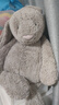 Jellycat巴塞罗熊毛绒玩具儿童安抚公仔小熊玩偶潮玩送礼娃娃生日礼物 巴塞罗熊 Huge 实拍图