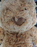Jellycat巴塞罗熊动物毛绒玩偶儿童安抚公仔小熊潮玩生日新婚礼物 巴塞罗熊 Medium 实拍图