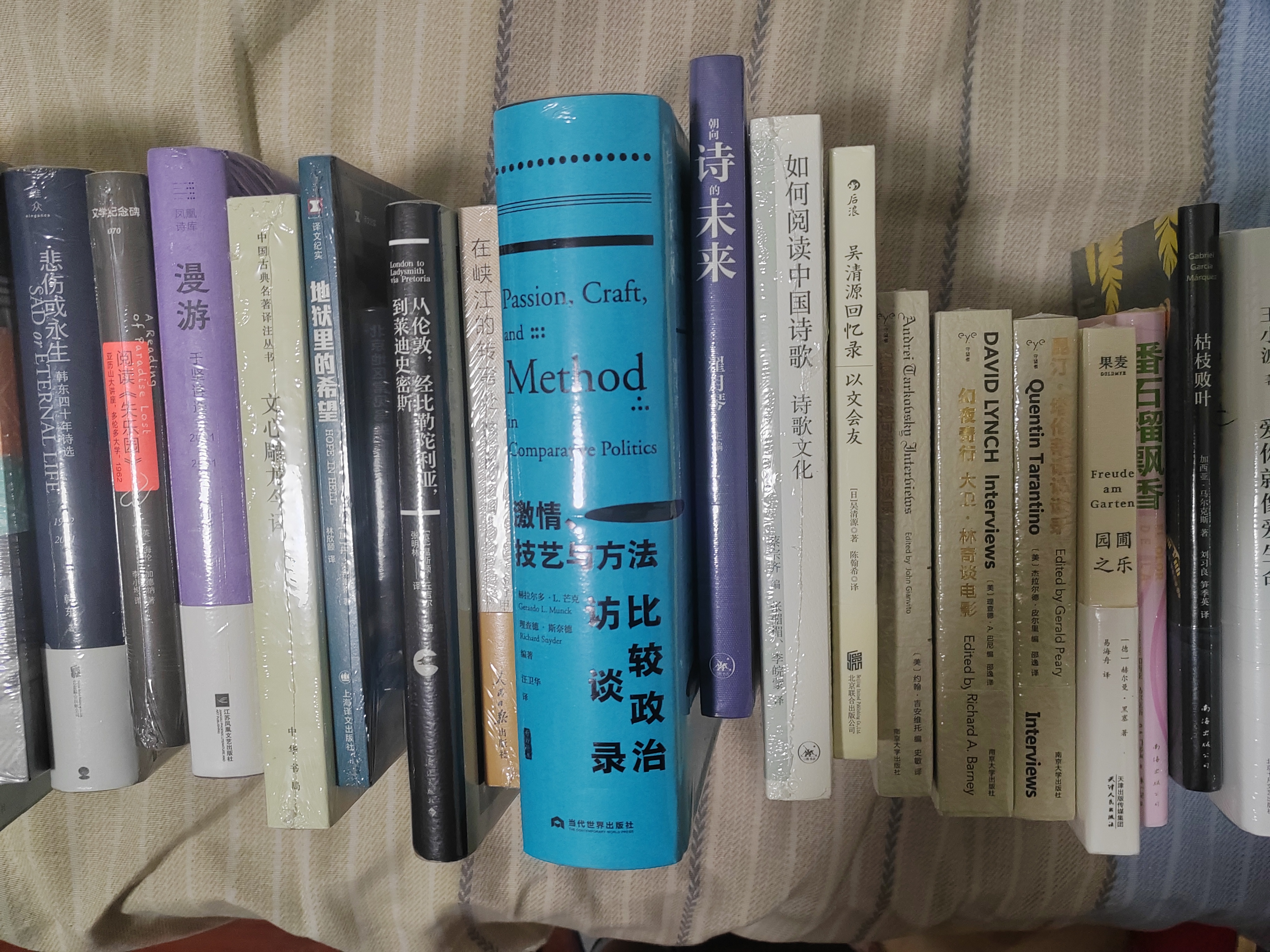 新森林志：讲述凝聚在树木中的生命历程，展现延续在森林里的人类文明 实拍图