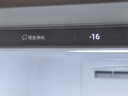 海尔（Haier）【麦浪套系】180升风冷无霜立式小冰柜家用冷藏柜冷冻柜两用小型冰箱冷柜国家补贴-BD-180WGHDGWF 实拍图