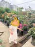 女童旗袍夏一岁女宝宝小裙子夏装衣服童装婴儿连衣裙儿童汉服夏季 紫色碎花 110 实拍图