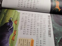 十万个为什么（彩绘注音版8册）正版5-8岁儿童科普百科 绘本 幼儿园 幼小衔接 小学生 暑假课外阅读 自主阅读 对照小学语文科学新课标 实拍图
