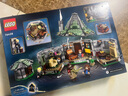 乐高（LEGO）积木拼装哈利波特76428 探访海格小屋男孩女孩儿童玩具生日礼物 实拍图