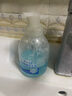 隆力奇洋甘菊抑菌泡沫洗手液易清洗双手大瓶装500ml*2+补充装500ml*4 实拍图