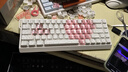 臻火电竞 雾透键帽 正刻侧刻雾面透光透明 适用wooting小蜜蜂美加狮磁轴机械键帽 60/65/68/75/108配列 粉透键帽 (正刻)-94键 实拍图