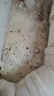 雷灭速蚂蚁药一窝端杀蚂蚁特效药家用室内外灭杀全窝连环杀蚁饵剂呋虫胺 实拍图
