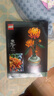 乐高（LEGO）积木拼装10368 黄金菊男孩女孩玩具生日礼物 实拍图