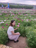 麦娅洛披肩夏季配吊带裙气质女短袖针织开衫薄款上衣搭子的外搭罩衫小外 贝壳 均码 实拍图