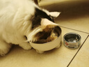 顽皮（Wanpy）三文鱼猫罐头80g*24罐（汤汁型）出口级 猫咪零食happy100果饭儿 实拍图