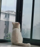 奥丁（ODIN）猫粮 美短英短蓝猫暹罗猫 鱼肉味猫咪食品 成猫全价猫粮2kg 实拍图